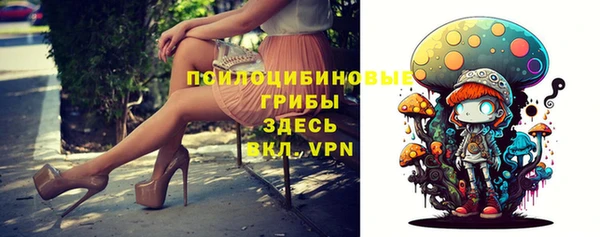 гидропоника Алзамай